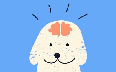 9 Ideas para estimular mentalmente a tu perro dentro y fuera de casa