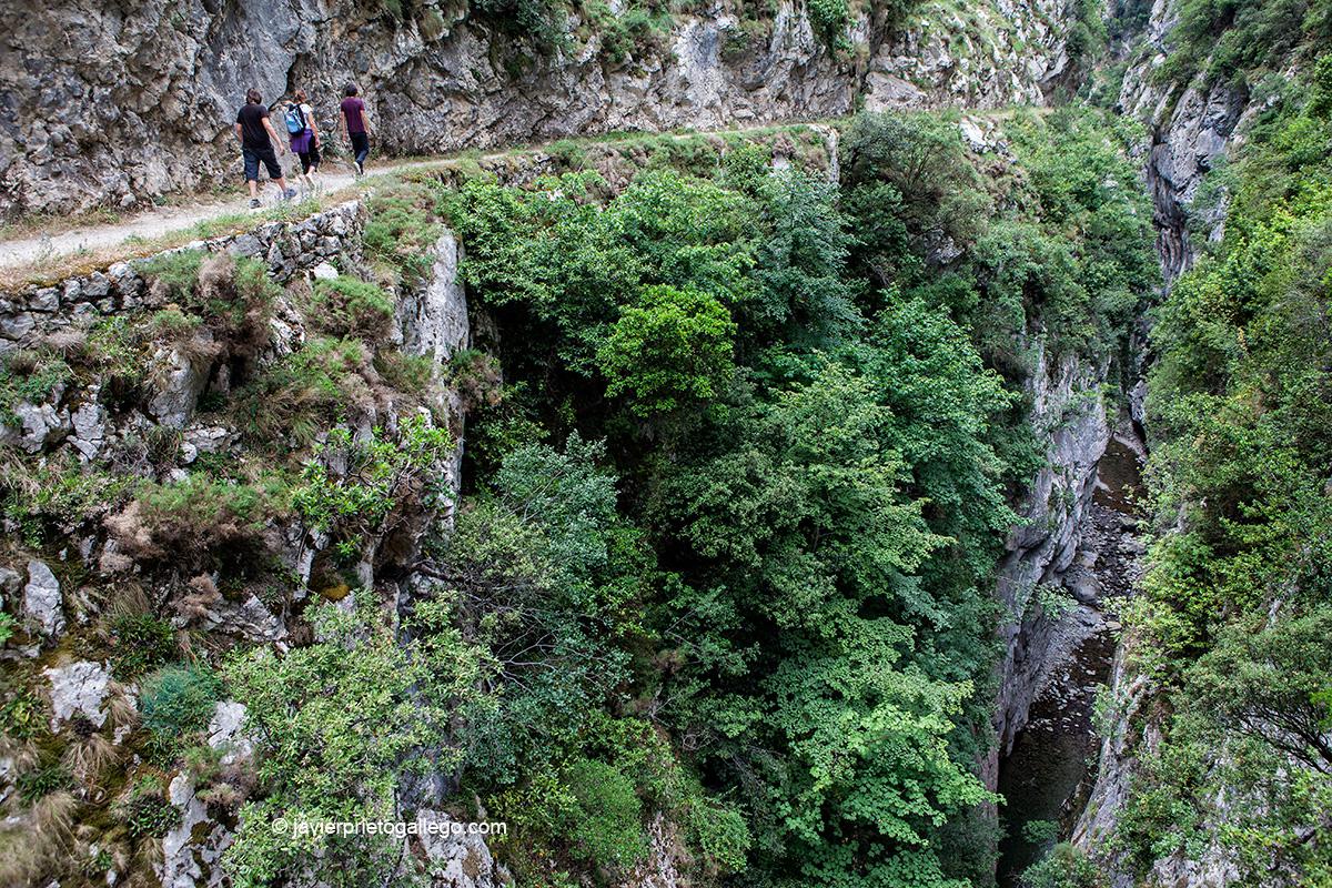 Desfiladero del Cares. Localidad de Caín. Parque Nacional de los Picos de Europa. León. Castilla y León. España. © Javier Prieto Gallego