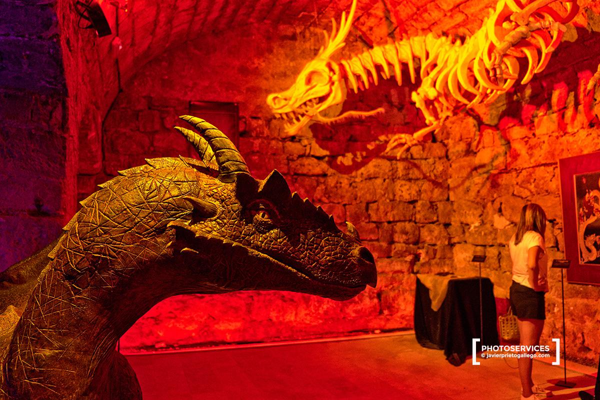 Sala de La mazmorra del dragón. El Castillo Encantado. Castillo de Trigueros del Valle, siglo XV. Valladolid. Castilla y León. España. © Javier Prieto Gallego