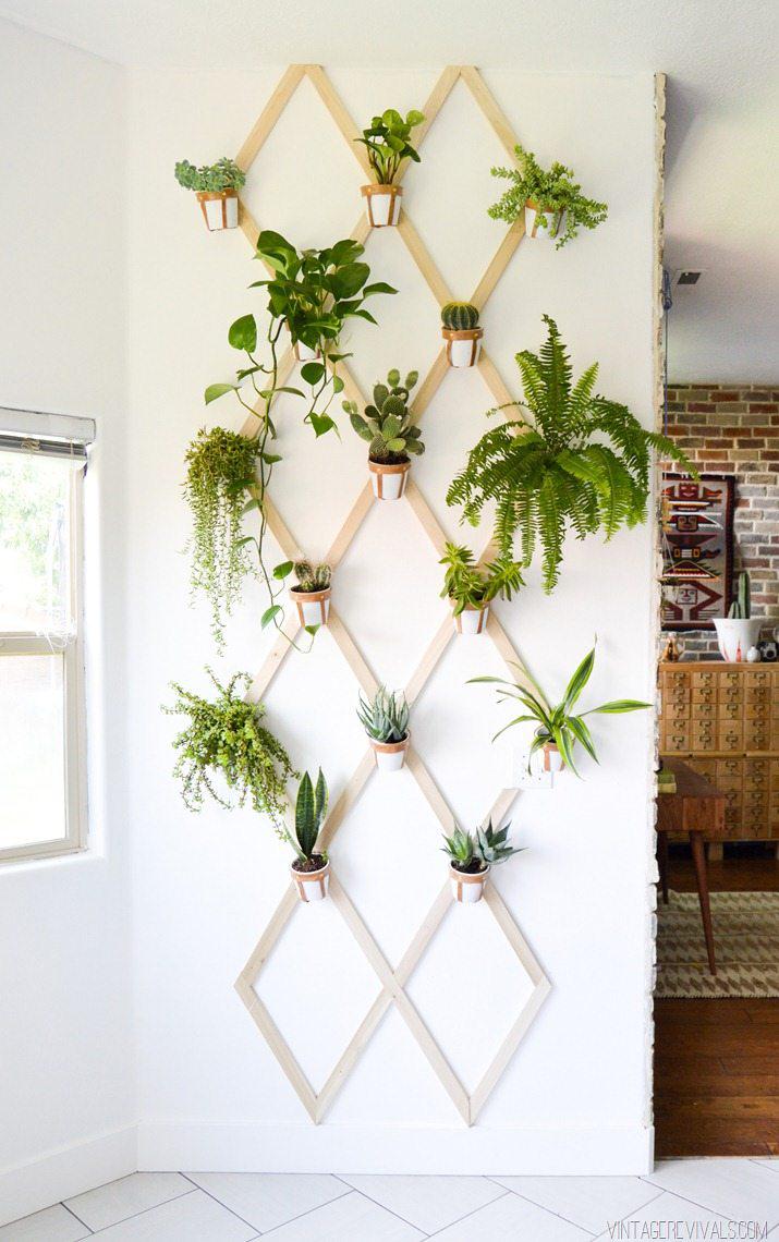 Decorar con plantas de interior