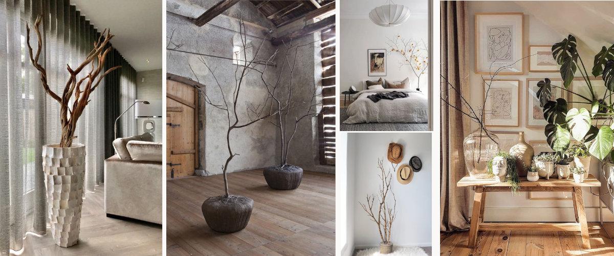 Planta las ramas en una maceta o jarrón