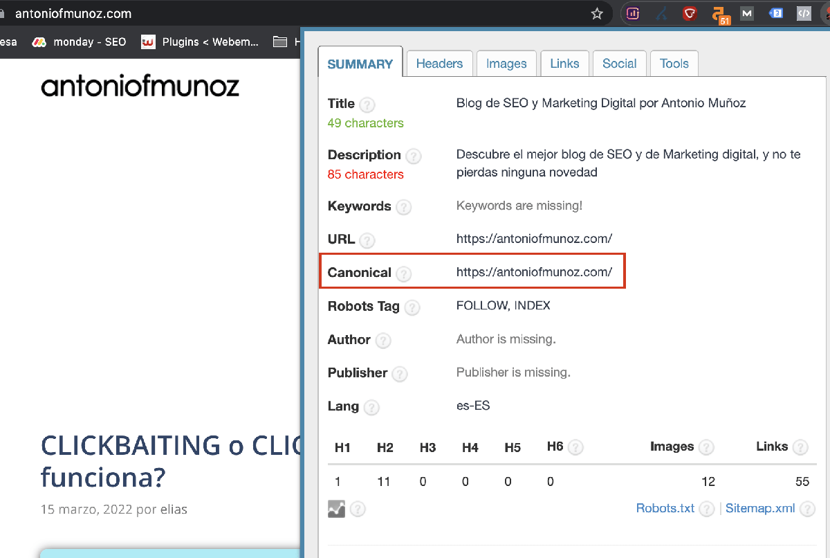 rel=canonical extension seo