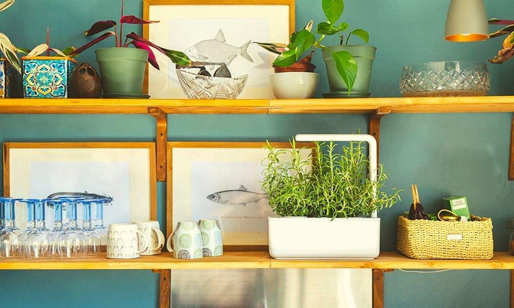 Smart garden para decorar un salón de forma sostenible.