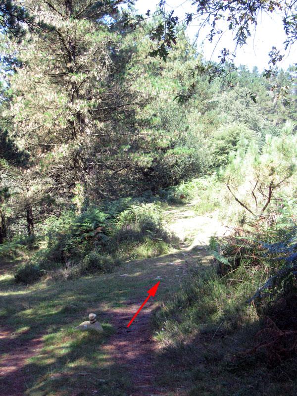 No despistarse en los giros