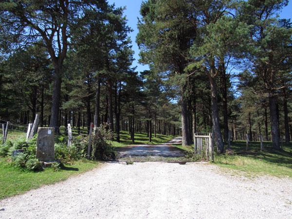 Un ratito a la sombra