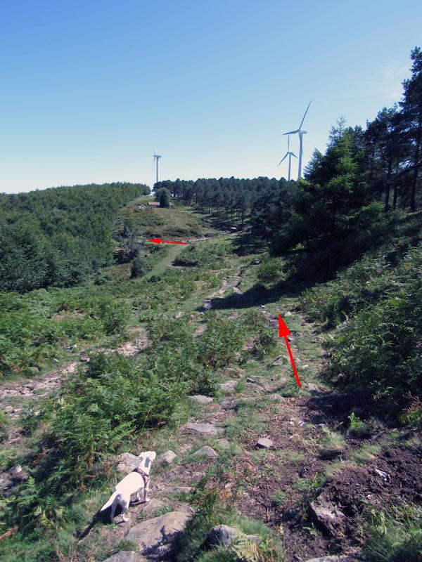 La vuelta la haremos un poco diferente