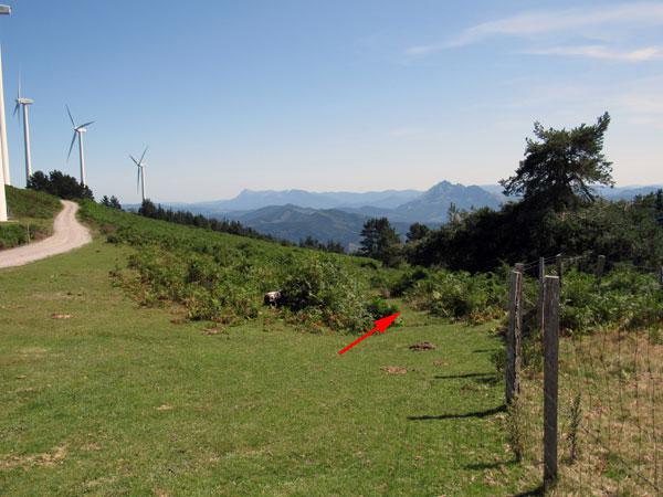 No nos despistemos en este punto