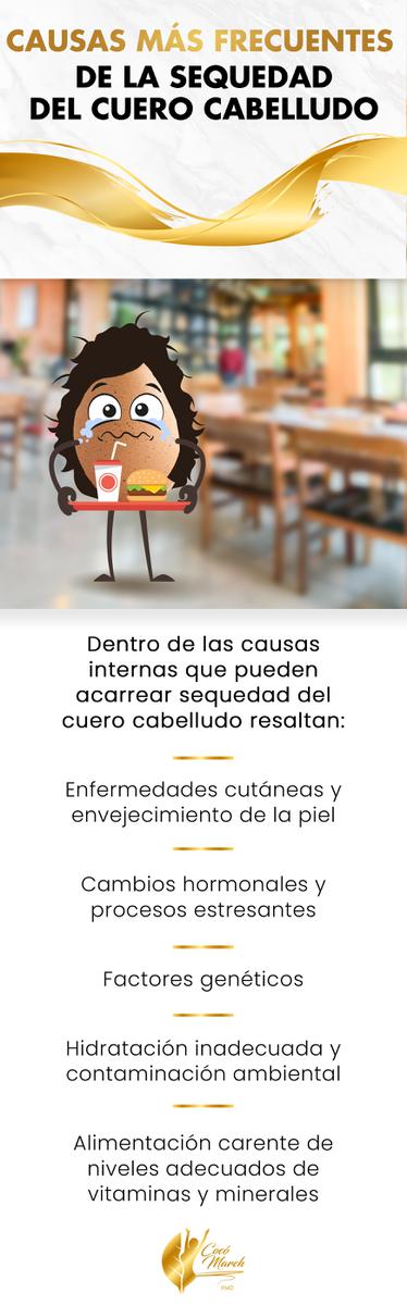 causas-de-sequedad-del-cuero-cabelludo