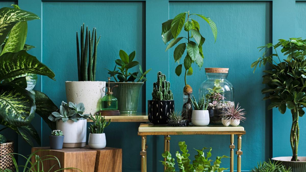 Todo lo que debes saber sobre la decoración natural 5