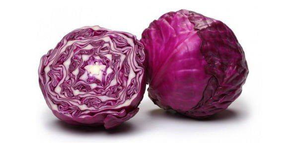 Como sembrar repollo en la huerta