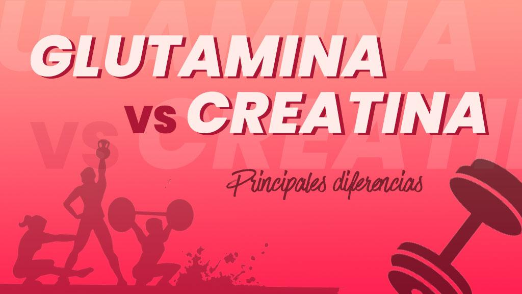 creatina vs glutamina copia