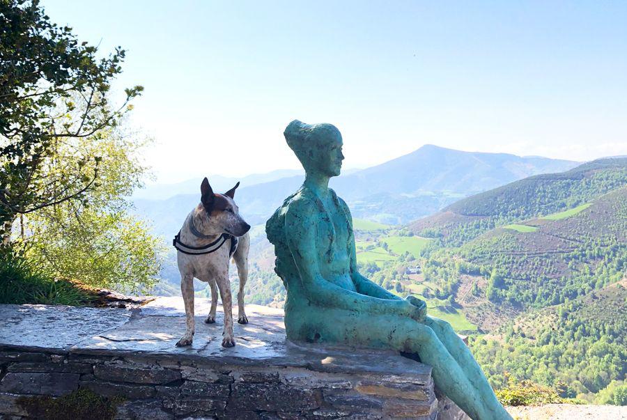 perro camino santiago
