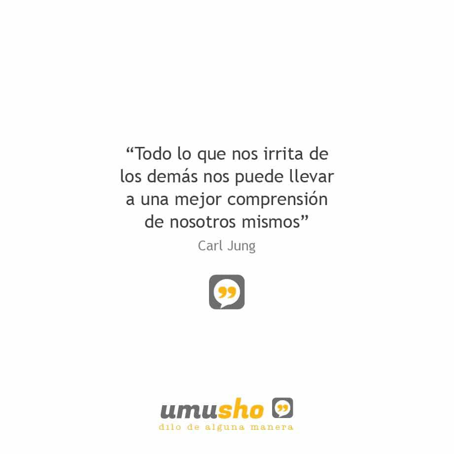 Todo lo que nos irrita de los demás nos puede llevar a una mejor comprensión de nosotros mismos. Carl Jung