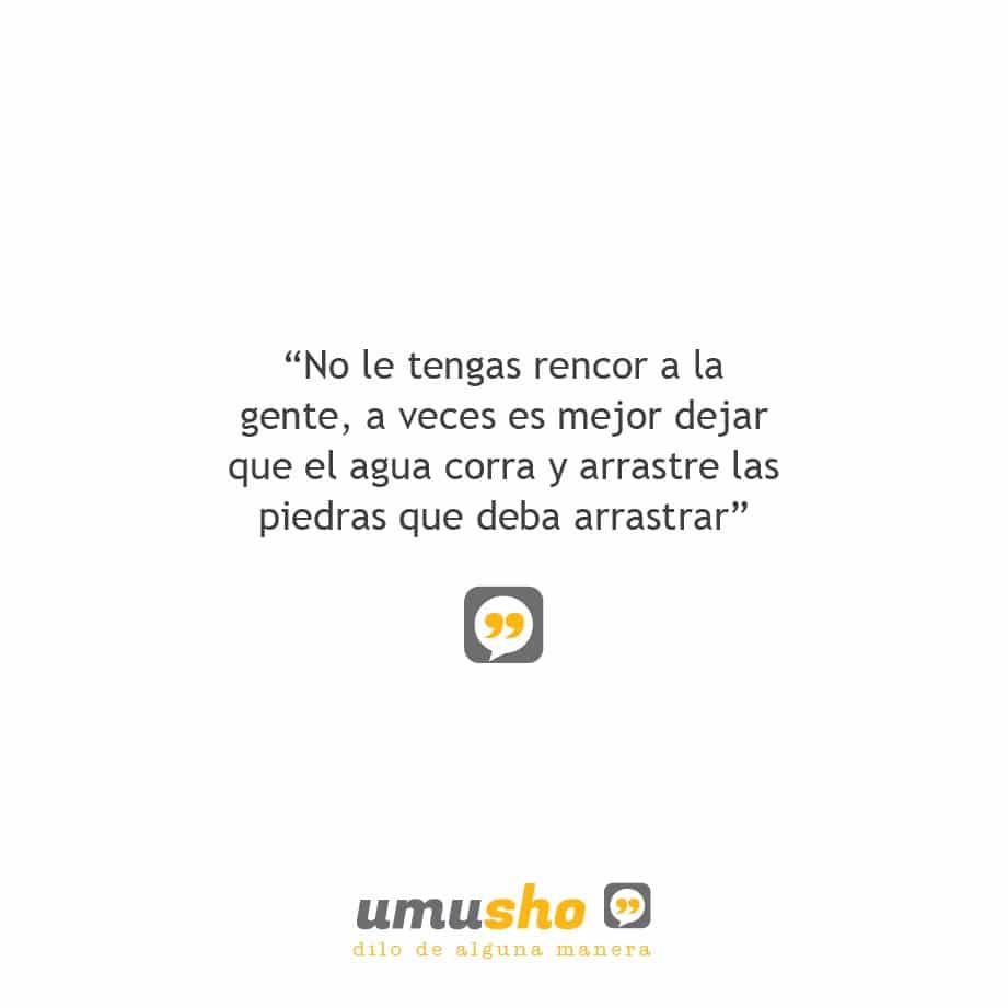 No le tengas rencor a la gente, a veces es mejor dejar que el agua corra y arrastre las piedras que deba arrastrar.