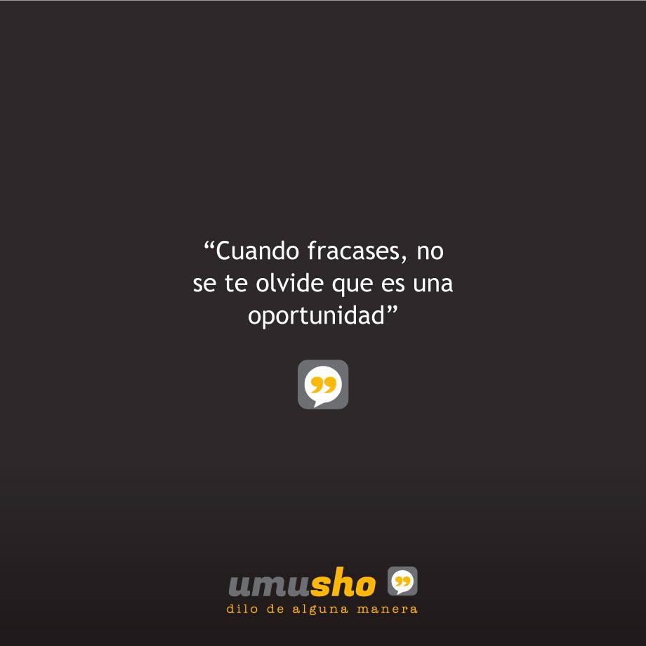 Frases sabias e inteligentes reflexivas