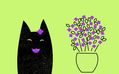 6 Plantas que les gustan a los gatos