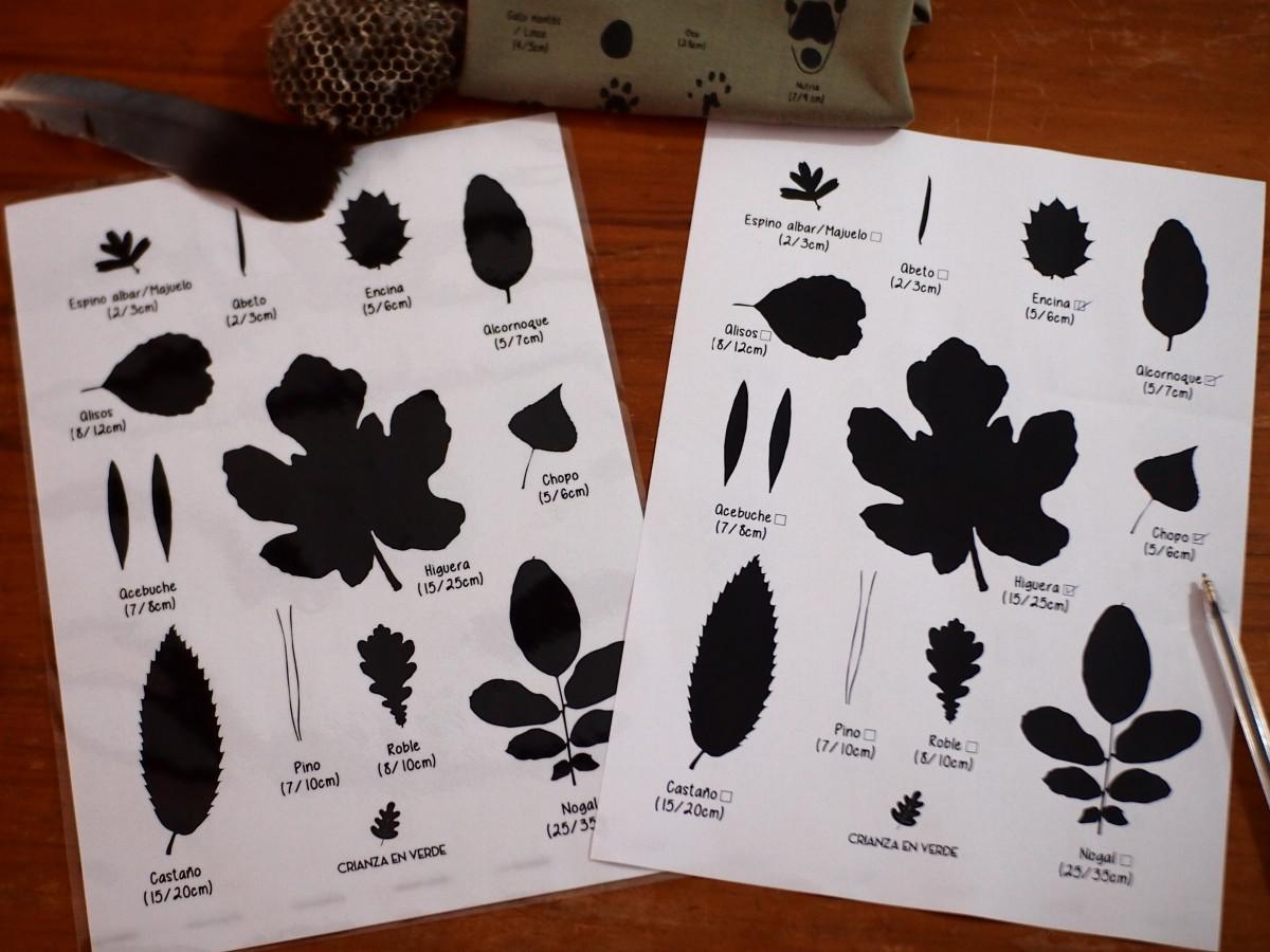 Foto de imprimible de hojas para señalar y una guia