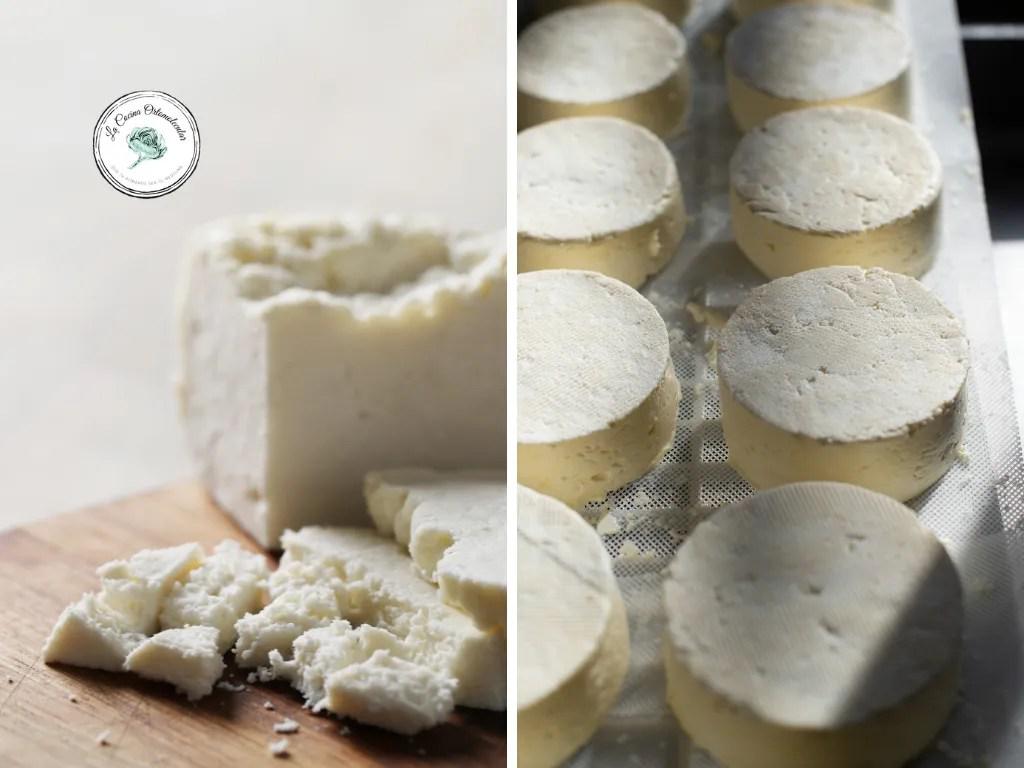 La Cocina Ortomolecular-Proteínas de la leche