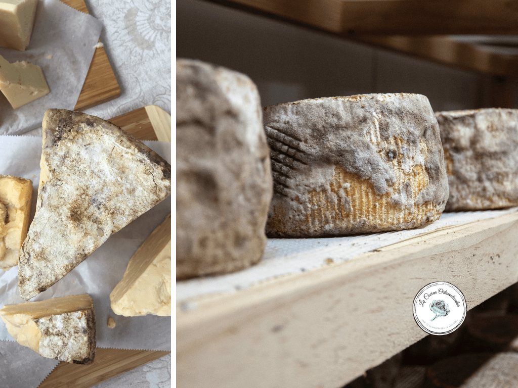 La Cocina Ortomolecular-El valor nutricional del queso