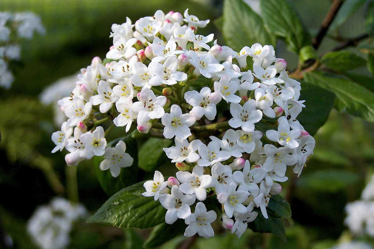 O1uZtkJDvKL5wqrTXcp4I4Mt YcAMGAnArLoWM1tr55Hxifbf VviINJNDAkU HrZIEXjIC9He2K4MVnEZBtH AGEKN8BEazR1UbT3iQkEI4zJ3u3r0l7QqqjgYC C6toPjmeROA