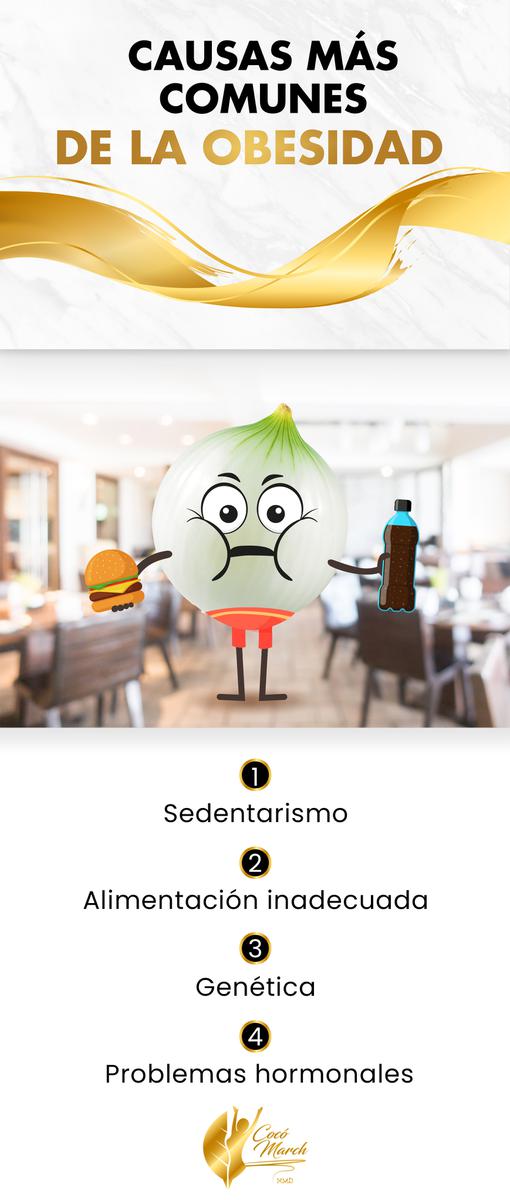 causas-de-la-obesidad