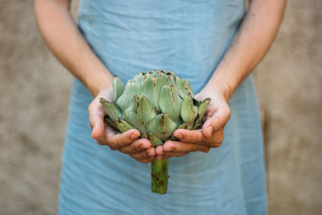 Alcachofa: un aliado para la salud
