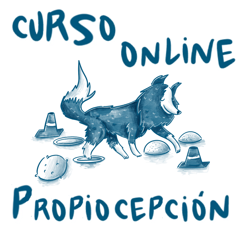 curso propiocepción perro