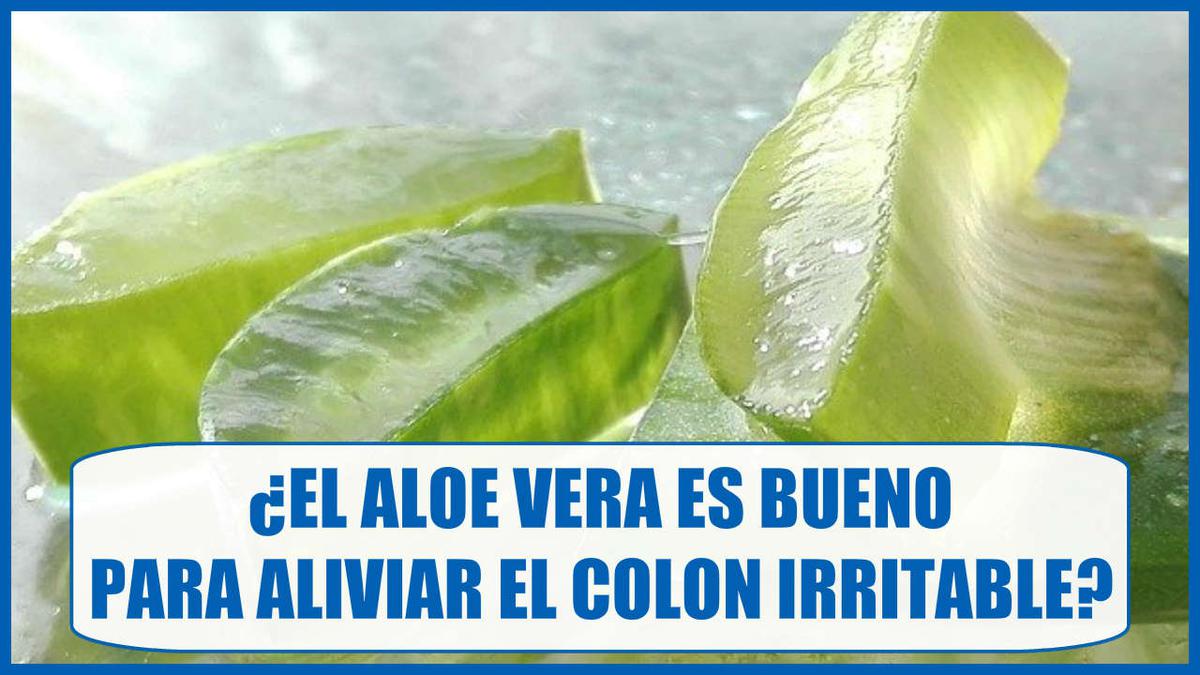 ¿El Aloe Vera es un buen remedio para el Colon Irritable?