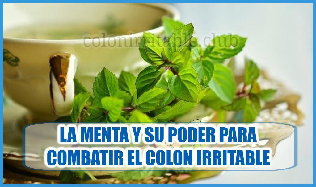 La Menta y su poder para combatir el Colon Irritable