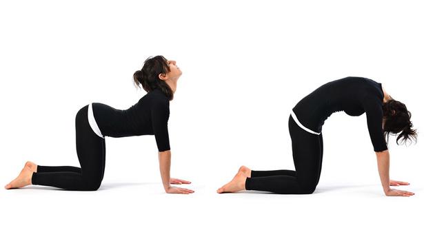 Chakravakasana (postura gato-vaca)