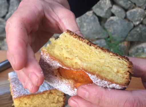 TORTA de ALBARICOQUES Fácil