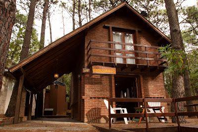 Cabañas en el bosque construidas de madera