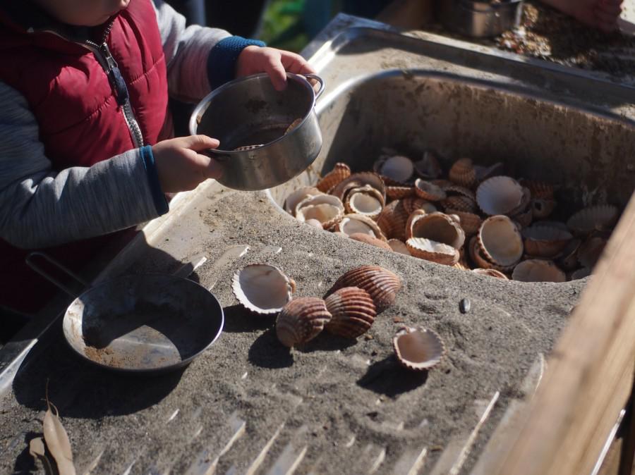 La pila llena de arena y conchas