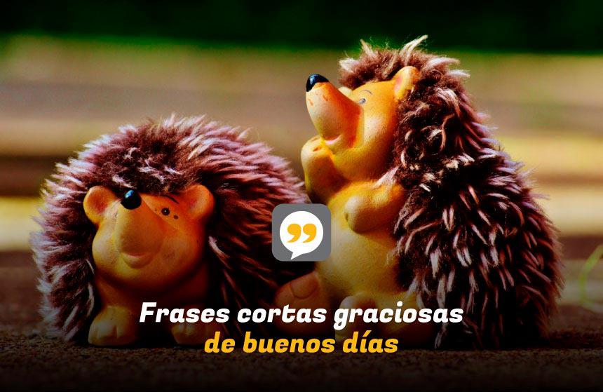 Frases cortas graciosas de buenos días