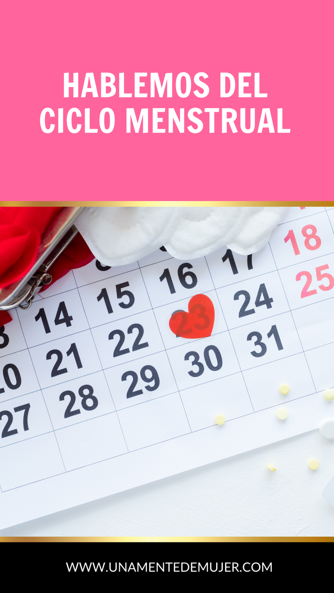 Ciclo menstrual