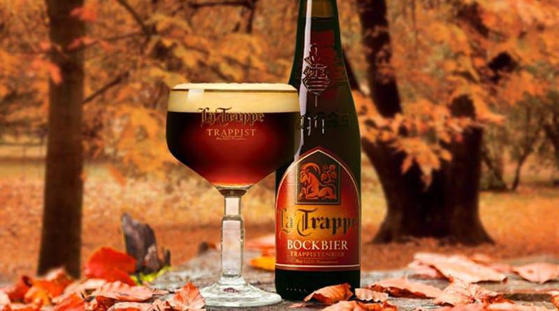 La Trappe Trappist Bockbier
