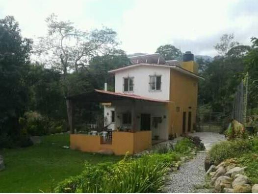 Diseños de dos plantas