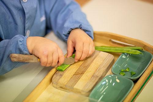 autonomía escuela Montessori