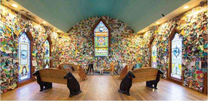 capilla de la iglesia canina dog mountain