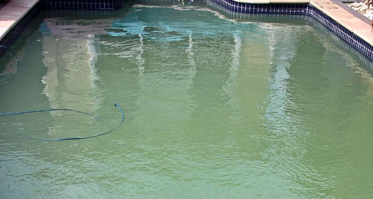 Remedios caseros para el agua verde de la piscina