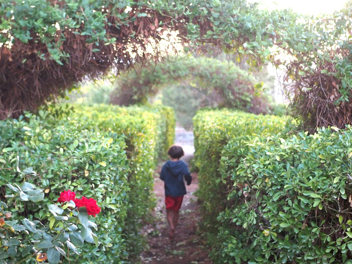 Niño corriendo por un parque con arbustos