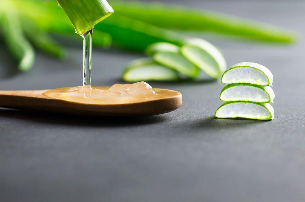 Cuidar tu Piel en Verano: aloe vera