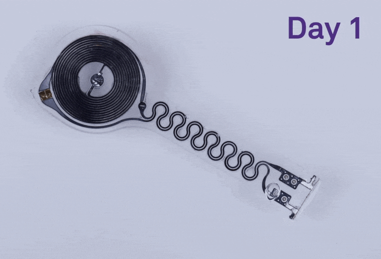 Un marcapasos bioabsorbible