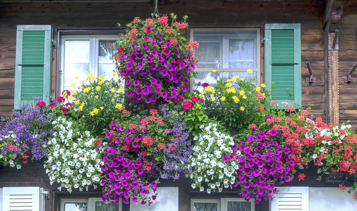 Ideas para convertir el balcón en un hermoso vergel 2