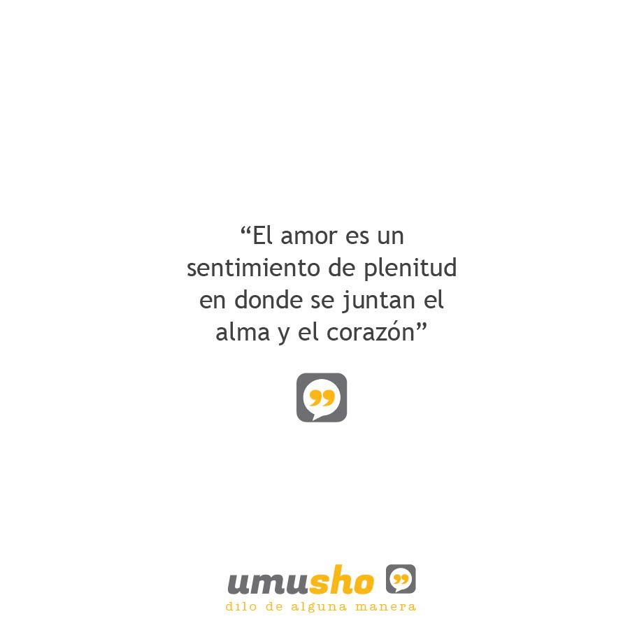 El amor es un sentimiento de plenitud en donde se juntan el alma y el corazón - Frases inteligentes y sabias de amor