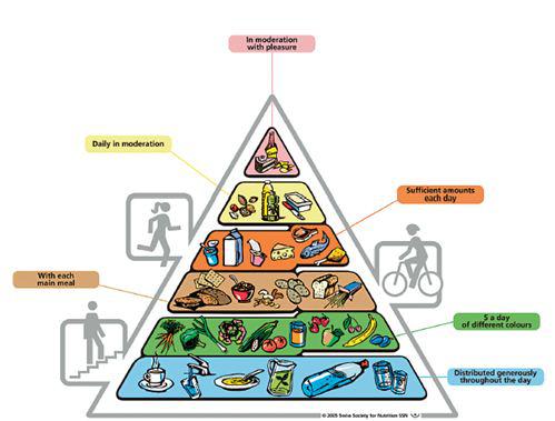 la pirámide alimenticia