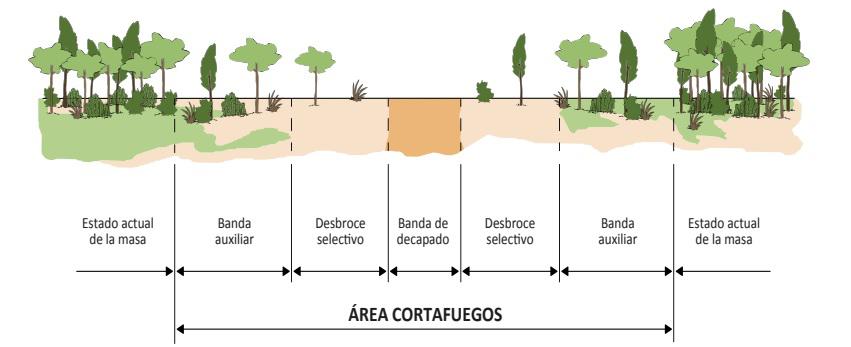 Cortafuegos masa forestal