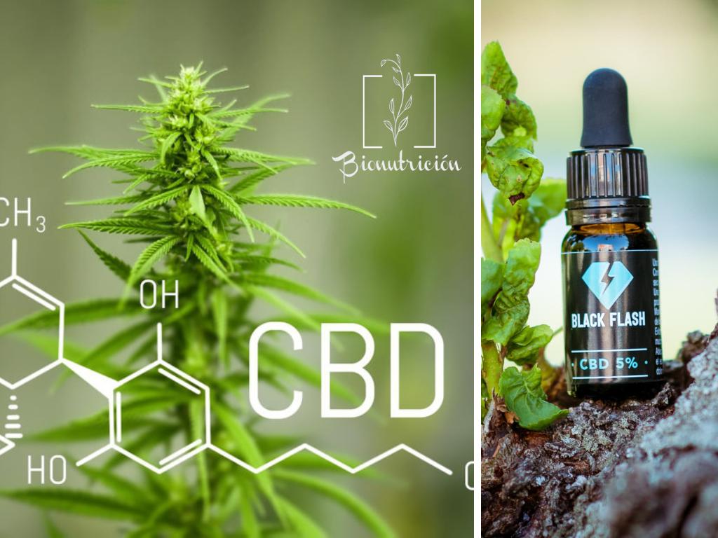 Beneficios destacados del CBD-Bionutrición Ortomolecular