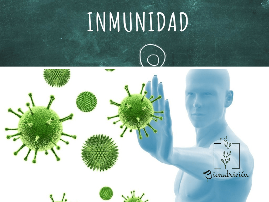 Relación entre el CBD y el sistema inmune- Bionutrición Ortomolecular