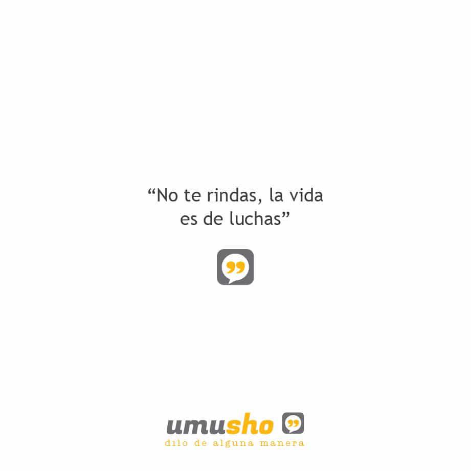 No te rindas, la vida es de luchas. Frases de reflexión de la vida cortas